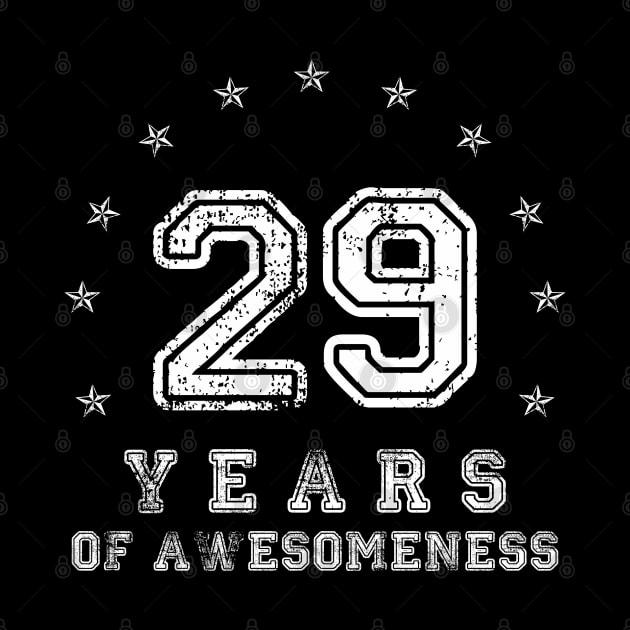 Vintage 29 years of awesomeness by opippi