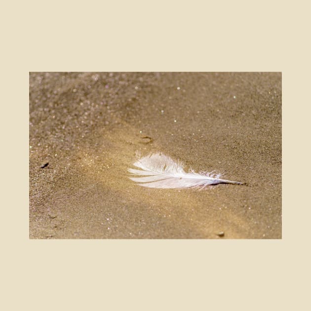 White Feather on Gold Dust by Debra Martz