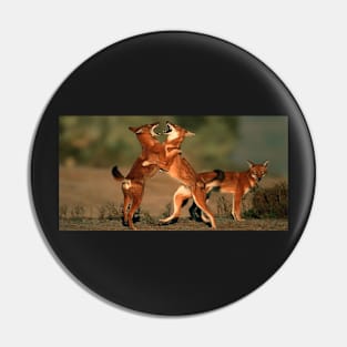 Ethiopian wolf-Red fox Pin