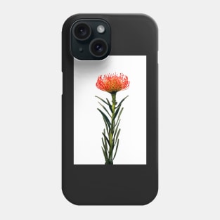 Flowering Pincushion Protea Phone Case