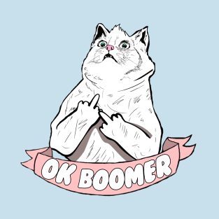 OK Boomer Cat Meme T-Shirt