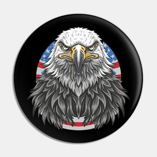 USA Eagle Pin