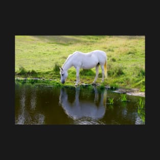 Horse Drinking Water T-Shirt