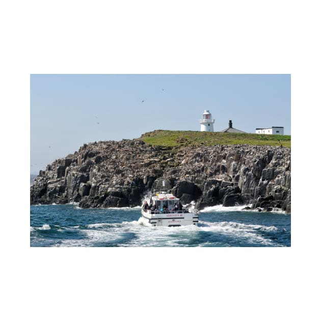 Tour boat visiting the bird colonies on the Farne Islands, Northumberland, UK by richflintphoto