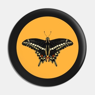 Schaus' Swallowtail Pin