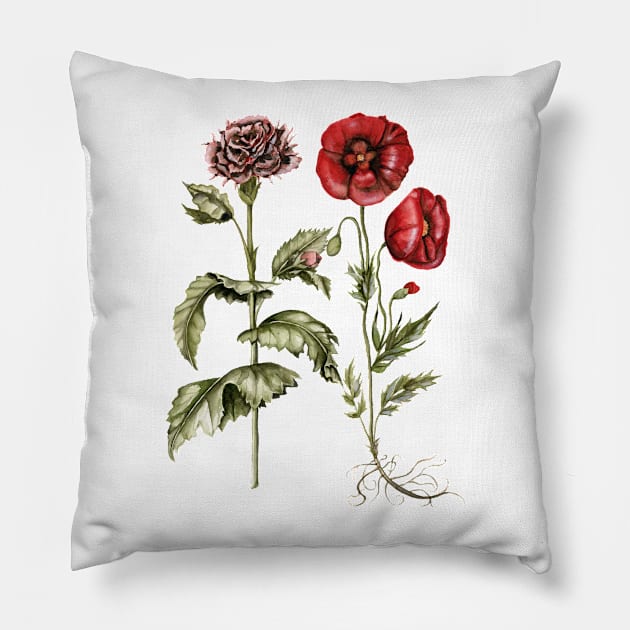 Carnation and Poppies Pillow by ShealeenLouise