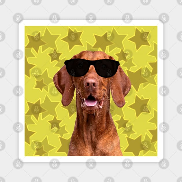 Cool Dog and Stars Magnet by SandraKC