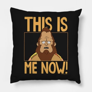 This is me now! Pillow