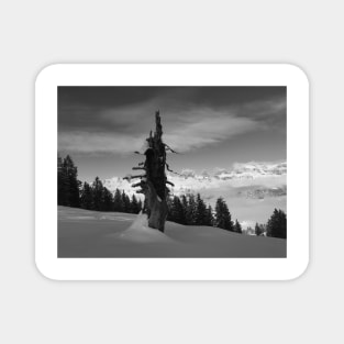 Winter on a Swiss mountain top Magnet