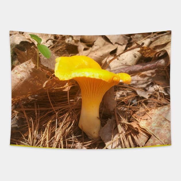 Golden Chanterelle Tapestry by etherealwonders