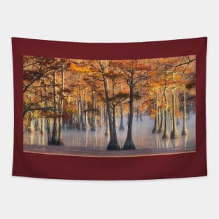 Cypress trees in Fall Colors Tapestry