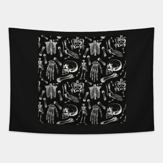 Vintage Anatomy Drawings Black And White Tapestry by TGSC