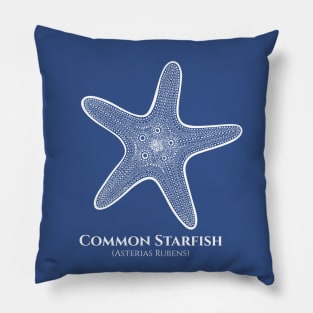 Common Starfish with Common and Latin Names - sea lovers design Pillow