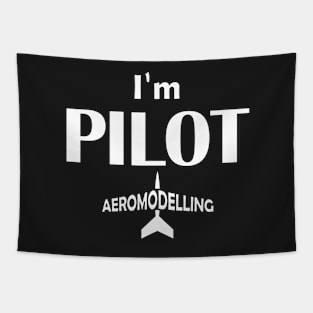 Pilot Aeromodeling Tapestry