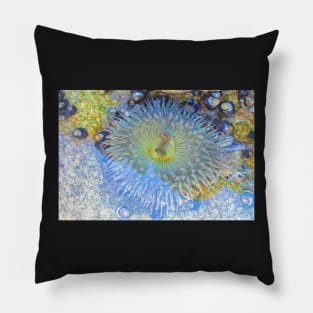 Anemone Pillow