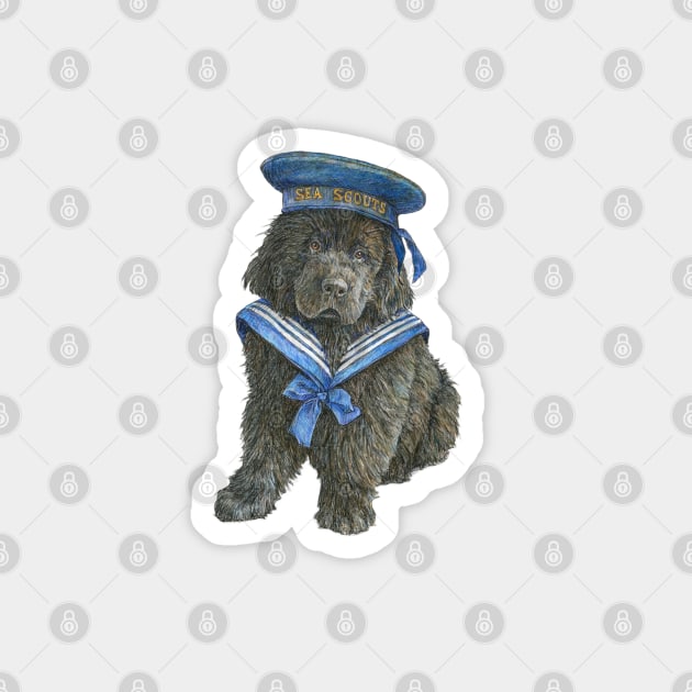 Newfoundland Puppy in blue Sea Scout hat Magnet by Prairie Dog Print