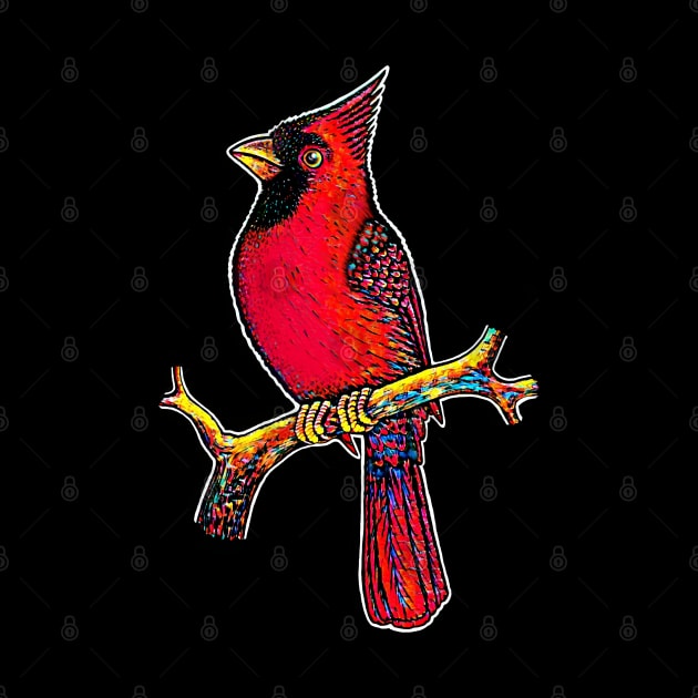 Red Cardinal bird cute cardinal by Artardishop