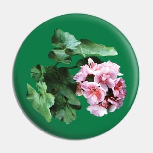 Geraniums - Bright Pink Geranium Pin