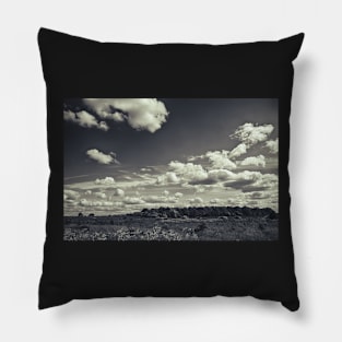 Sky Dancers Pillow