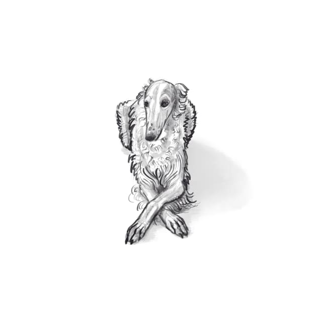 Borzoi by VEROfojt