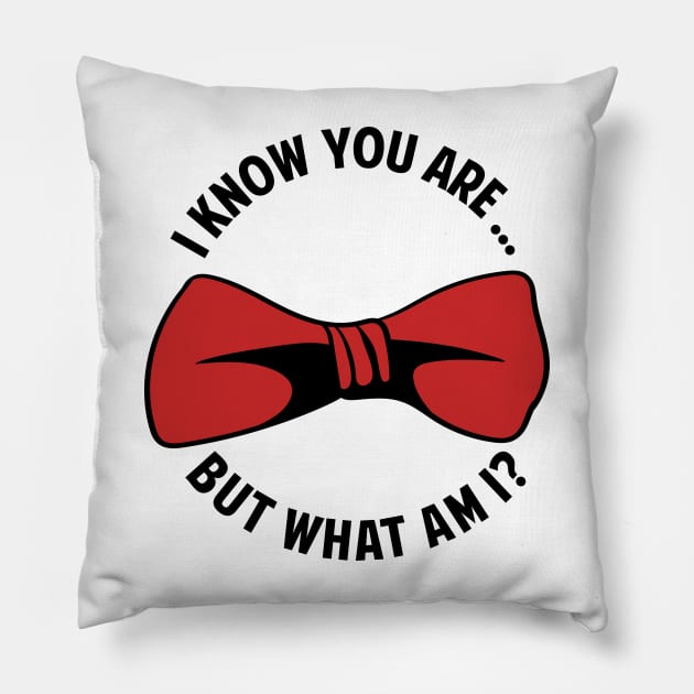 I KNOW YOU ARE! Pillow by TwoSweet