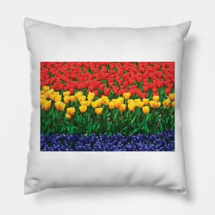 The Netherlands Lisse Close Up Of Flowers Pillow