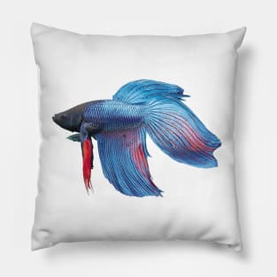 halfmoon bettafish Pillow