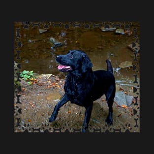 Black Labrador T-Shirt