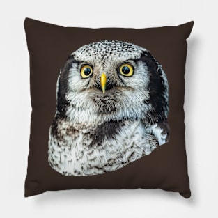Eyes of a Northern Hawk Owl Pillow