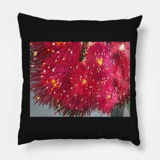 Burgandy Native Bush Flowers by Australian Artist Leah Gay Pillow