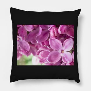 Purple Lilac Pillow