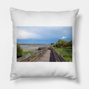 Riverview Park #1 Pillow