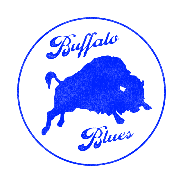 Defunct Buffalo Blues Baseball Team by Defunctland