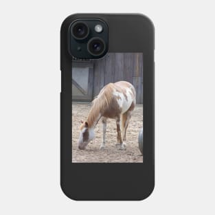 American Paint Horse Phone Case