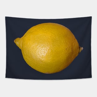 Food Sour Fruit Lemon Photo Tapestry