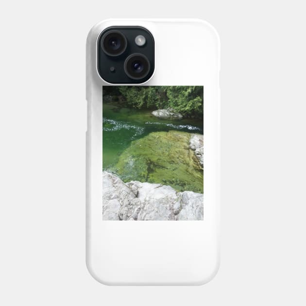 River Rock Pool Phone Case by PLANTONE