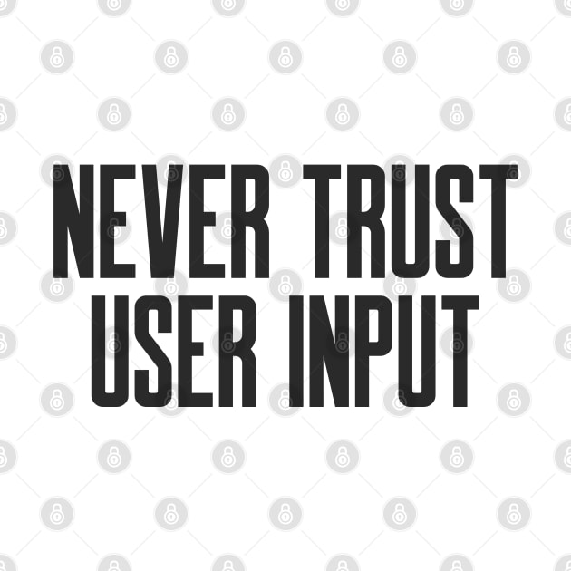 Secure Coding Never Trust User Input by FSEstyle