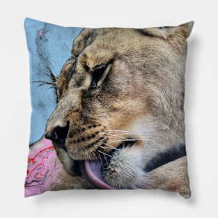 Lion / Swiss Artwork Photography Pillow