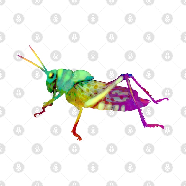 Colorful Grasshopper by techno-mantis