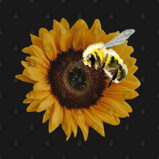 Save the Bees - realism sunflower and bee by Tenpmcreations