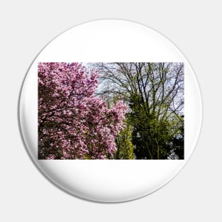 Trees in bud and bloom Pin