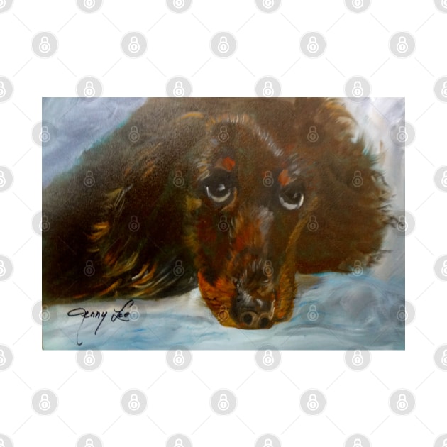 Dachshund by jennyleeandjim