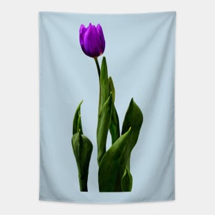 Single Purple Tulip Tapestry