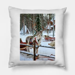 Lapland Pillow