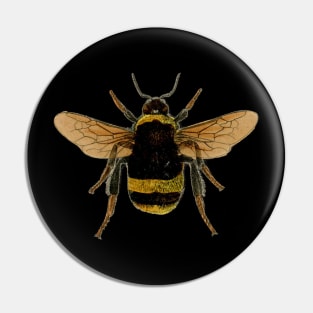 Bumble bee Pin