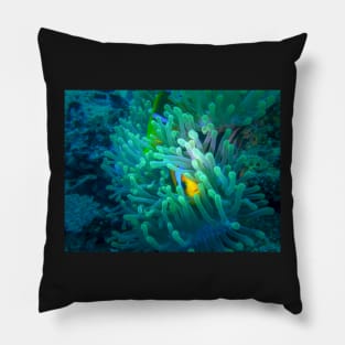 nemo fish Pillow