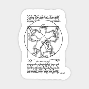 Vitruvian Choanoflagellate Colony - Choanoflagellate Rosette Magnet