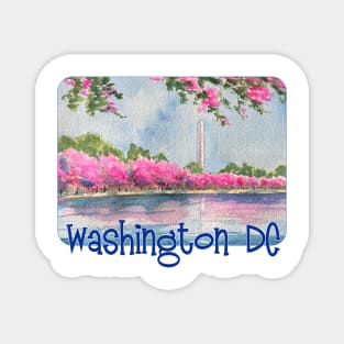 Washington DC Cherry Blossoms Magnet