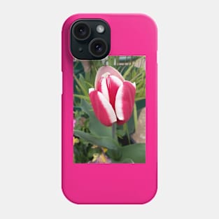 Red Tulip Flower With White Edges Phone Case