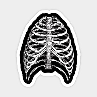 Rib Cage Magnet